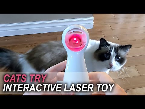 Automatic Laser Toy - Petsafe Bolt