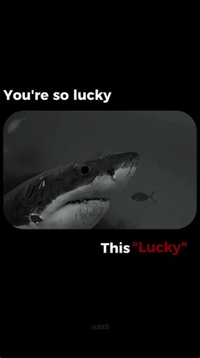 I’m not lucky. I just outwork you. While you scroll, I execute. #motivation #success #shorts