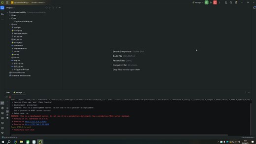 python项目启动教程
