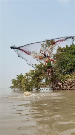River monster fish catch by cast net fishing #shorts #fishing #fishingvideo #fishinglife #bigfish