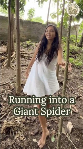Running into a Giant Spider | Food Forest Family