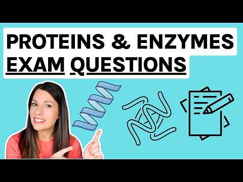 Proteins & Enzymes Live Lesson | A-level Biology exam questions and modelled answers
