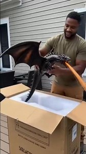 Dragon Flame Solar Light | Magical Garden Decor at Night 🔥