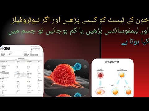 how to read blood test/If neutrophils and lymphocytes increases or decreases what happens in body