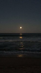 After playing on the beach all day, it is so relaxing to sit, listen, and gaze at the ocean as the endless repetitive motion of the waves put you in a zen like tranquil state of mind. | The Beach Is My Happy Place