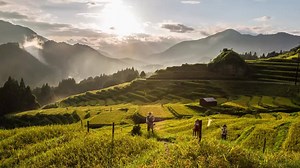 Here is another new video. How to use Japanese train tickets, with Andy | Oku Japan - Adventures off the beaten track | Facebook