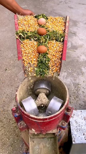 Feed910126 on TikTok