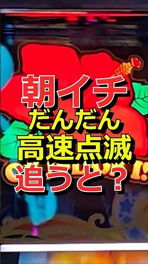 見た事ある？だんだん高速点滅を追ってしまうと……【沖ドキDUOアンコール】#沖ドキ #沖ドキduo #沖ドキduoアンコール #パチスロ #パチンコ #当たり動画#shorts