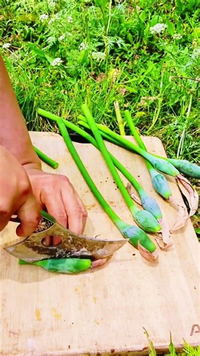 Rare Blue Java Banana Harvesting! 💎🍌 Most Satisfying #shorts