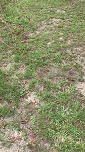 15K views · 722 reactions | What now?  | The Grapevine Lady | Facebook