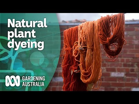The secret spectrum of plant-based dyeing | Inspired by nature | Gardening Australia