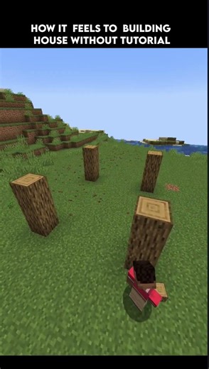 when you decid to build house without tutorial be like #minecraft #memes #gaming #shorts