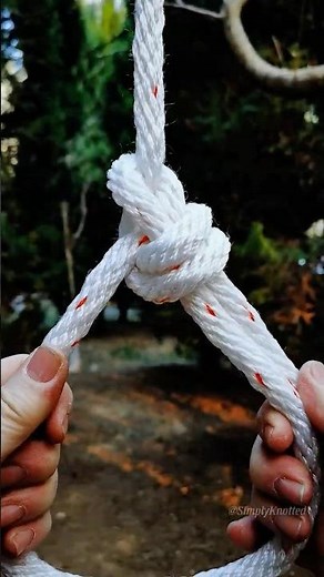 The Sovereign Loop! ⚪️🌲 Tying the King of Fixed Eye Knots