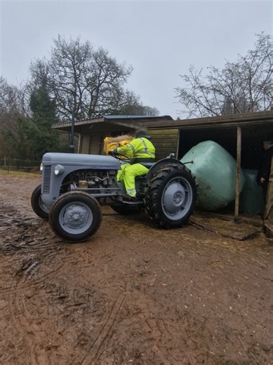 Restocking the Hay Shed with T20 Ferguson Tractor