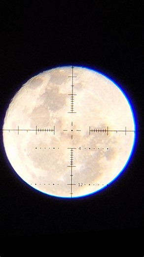 RifleScope Vector Optics Sentinel 6-24X50 FFP Air rifle PCP #airgun #riflescope