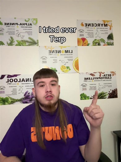 Every TERP | Terp Sauce Cart Review