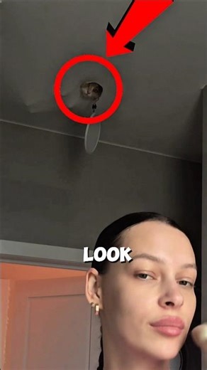 Ceiling Spy Cat!🐈‍⬛ #short