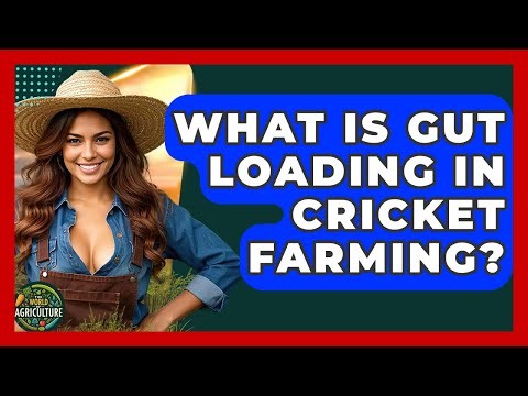 What Is Gut Loading In Cricket Farming? - The World of Agriculture