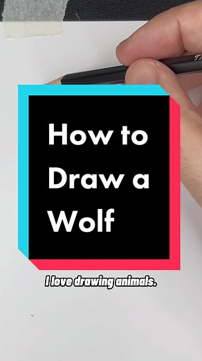 Step-by-Step Guide on Drawing a Realistic Wolf