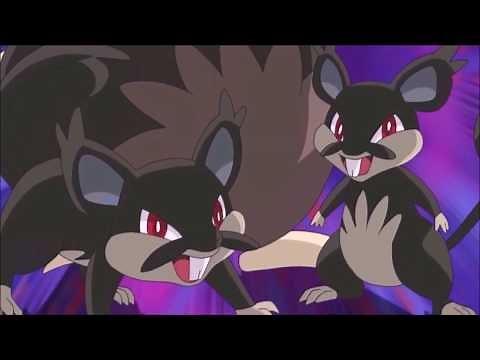 Rattata & Raticate Pokédex Entry - To Top A Totem