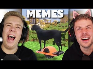 MEMES, but try not to LAUGH... @AviveHD