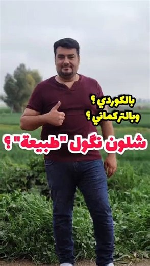 Learn Languages Arabic Kurdish Turkmen