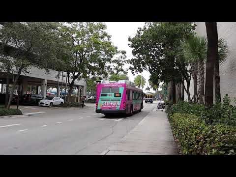 Miami-Dade Transit: Okeechobee bound Gillig BRT HEV 14110 Rt.183 leaving Aventura Mall