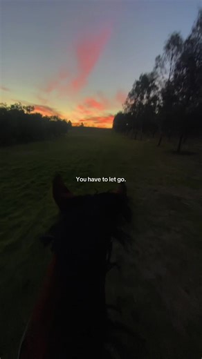 Apologies for being so quiet on here 🙏🏼 currently travelling! #equestrian #horseriding #horse #quote