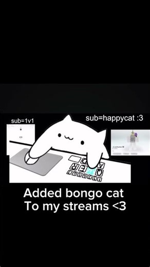 Added bongo cat to my streams :D go have a look! #cute #cat #bongocat #stream #subscribe #plslike