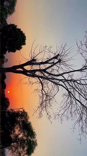 non-copyrighted aesthetic nature visuals designed for background