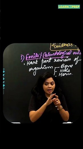 What Is Palaeontology? Fossils, Dinosaurs & Evolution in One Video! #shorts #fossils