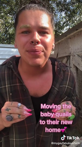 Quail Farm Update: Fast Growth and Egg Laying Soon!