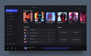 WinUI 3 XAML Tutorial - Photo Organizer Part 1