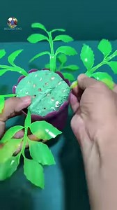 278K views · 3.7K reactions | Rose flower boquet using drinking straw & mountain dew bottle reuse reduce recycle @followers | Plastic Bottle and Paper Artwork.best for Display | Facebook
