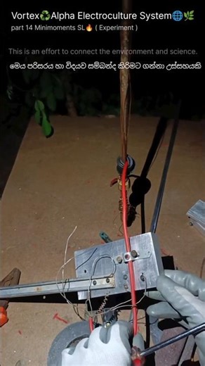 Advance Electroculture System🌐🌿 part 14 #Minimoments SL🔥 #Electroculture #Experiment #Short