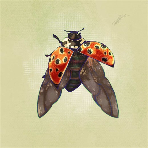 Timelapse Art: Drawing a Ladybug from Start to Finish