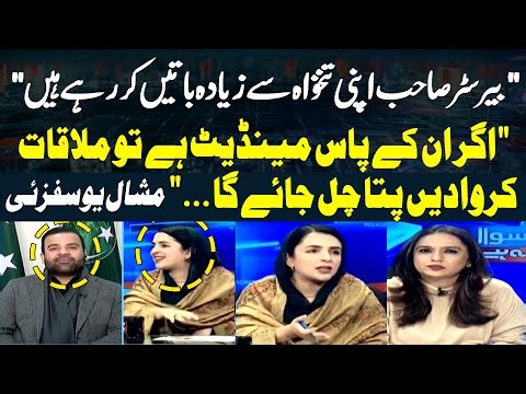 "If they have a mandate, then arrange the meeting..." Senator Mashal yousafzai