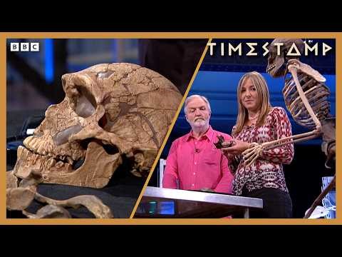 Professor Alice Roberts takes a closer look at prehistoric bones | Compilation | BBC Timestamp