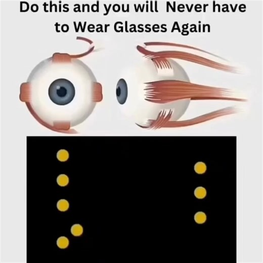 Curiosidades_Fantasticas on Instagram: "Os olhos são órgãos sensoriais responsáveis pela captação da luz e pela formação da visão, convertendo estímulos luminosos em sinais elétricos interpretados pelo sistema nervoso central. Do ponto de vista anatômico, o olho humano é composto por estruturas como córnea, íris, pupila, cristalino, retina e nervo óptico, cada uma com função específica no processo visual. A retina contém fotorreceptores do tipo cones e bastonetes, responsáveis pela percepção de