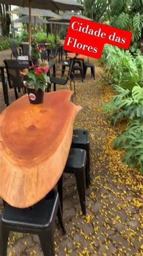 HOLAMBRA! CIDADE DAS FLORES, UM LUGAR ENCANTADOR E CONVIDATIVO #holambra #world