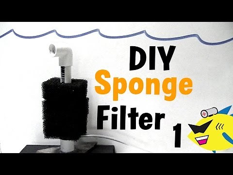 DIY Sponge Filter: Cheap Aquarium Filter Build