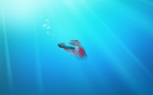 【转载】九年前的视频：Windows 开机与关机音效