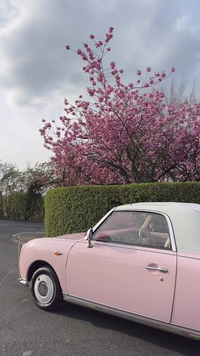 Cherry Blossom Nissan Figaro Car Restoration