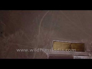 Rann of Kutch salt desert in Gujarat: aerial flight over desolate salt pans