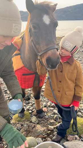 One of the questions I get asked very often is: What do you have for breakfast? This is a staple cold weather breakfast. Super easy. Really healthy. Everyone loves it. Good old porridge 🥣 I love the jumbo organic old fashioned oats. Put them in filtered water in a large saucepan. Heat slowly. Add some milk (whole milk and organic if possible) and salt (proper salt. No processed stuff. Flakey sea salt or Himalayan rock are my faves) when they’re cooking nicely 🧑🏼‍🍳 Then add your seeds/berries