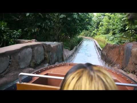 Amazon River Quest boat ride