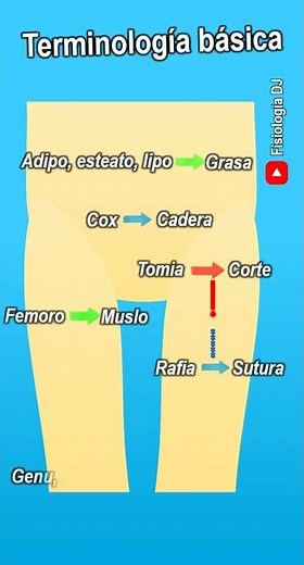 Terminología médica | Terminología de enfermería | Terminología de ciencias de la salud