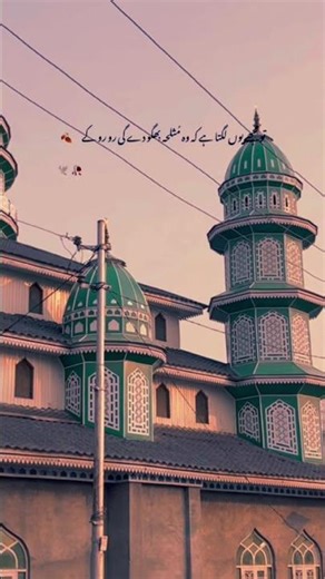 #islamicshorts plx support