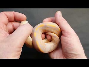 Cb25 banana cinnamon yellow belly royal python male