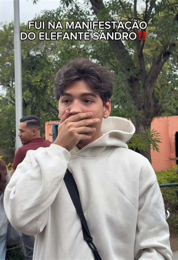 Elefante Sandro: manifestação e presença perto de humanos
